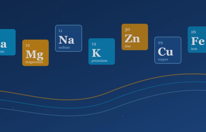 Mineral element tiles for calcium, magnesium, sodium, potassium, zinc, copper, and iron