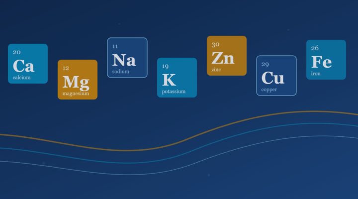 Mineral element tiles for calcium, magnesium, sodium, potassium, zinc, copper, and iron