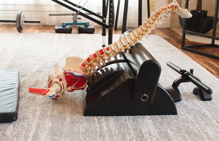Eileen Durfee patented spinal fitness equipment with spine model