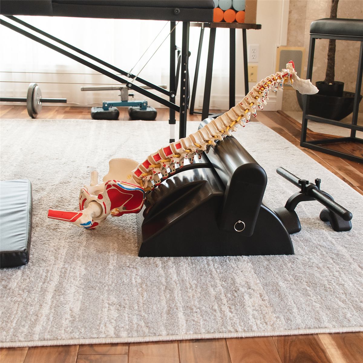 Eileen Durfee patented spinal fitness equipment with spine model
